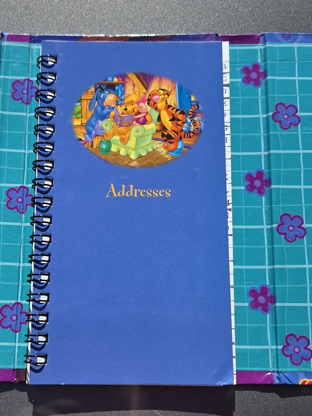 Winnie the Pooh Notepad & Address Book